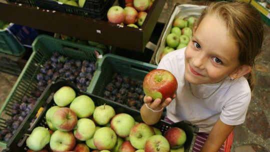 Nowa marka: Jabłka nadwiślańskie. Teraz będą je promować