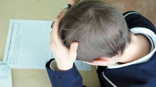 Nowa sieć szkół po reformie edukacji. 91 opinii pozytywnych, 59 warunkowych