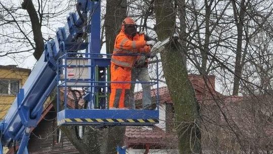 Nowa, ważna trasa w Lublinie za 47 mln zł. Najpierw wytną setki drzew [zdjęcia]