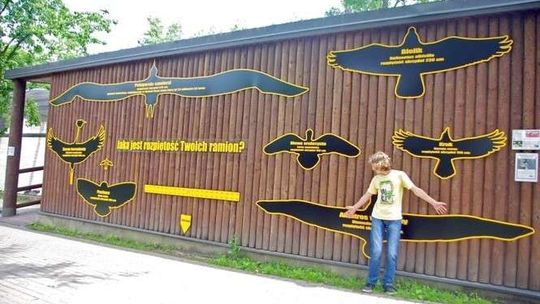 Nowe atrakcje w ZOO w Zamościu