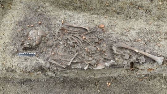 Nowe fakty dotyczące XIII-wiecznych grobów odkrytych w Chełmie