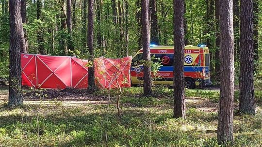 Nowe fakty w sprawie tragicznej śmierci 14-latki. Policja zatrzymała stajennego