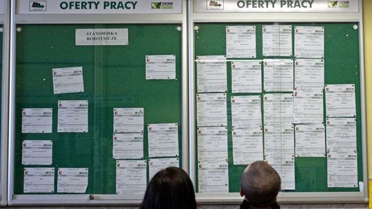 Nowe oferty pracy. Dla blacharza, stolarza i do biura