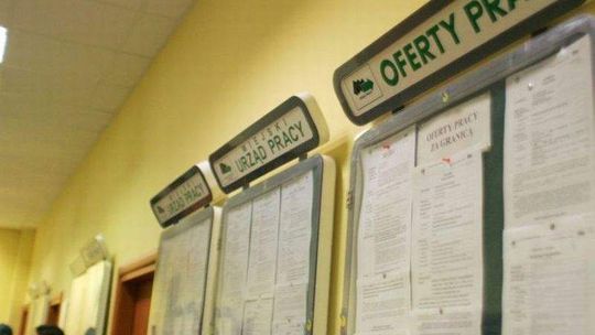 Nowe oferty pracy: Szukają instruktora tańca, sprzedawcy, blacharza