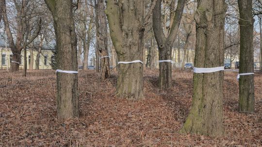 Nowe osiedle powstanie w Lublinie. Jest wniosek o pozwolenie na budowę