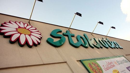 Nowe Stokrotki powstają w Lublinie 
