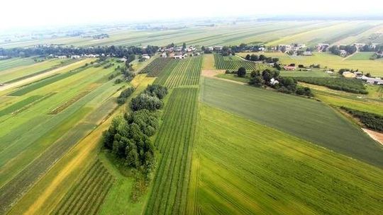 Nowe zasady obrotu gruntami. Kto może kupić ziemię?
