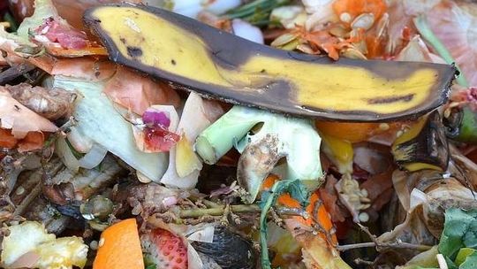 Nowe zasady segregacji śmieci. Pięć pojemników, wyższe opłaty