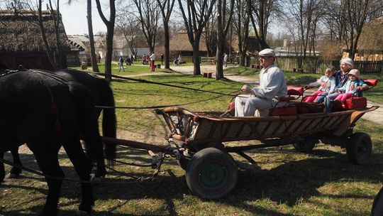 Nowi dyrektorzy w skansenie i szpitalu im. Jana Bożego w Lublinie. Były burmistrz Lubartowa też z nową pracą