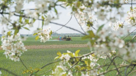 Nowi mieszkańcy wsi kontra rolnicy. O koszenie, wyrzucanie obornika, opryski