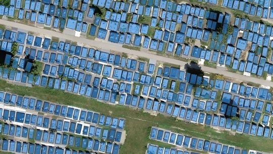 Nowoczesna wyszukiwarka grobów w archidiecezji lubelskiej – już 84 cmentarze w systemie