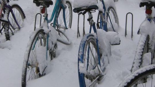 Noworoczny rajd rowerowy w Puławach