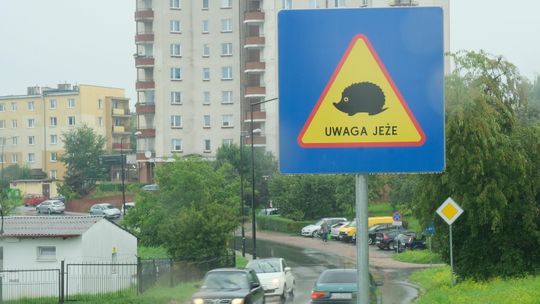 Nowość w Lublinie. Pierwsze takie znaki na ulicach