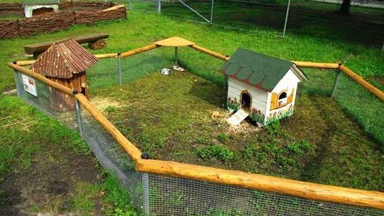 Nowości w zamojskim zoo: hipopotam Tokaj i mini zoo