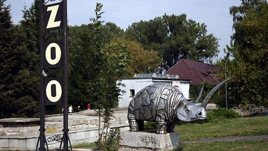 Nowy dom dla tapira i hipopotama
