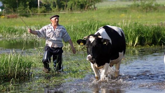 Nowy kierunek nauki dla uczniów z Woli Osowińskiej