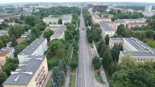 Nowy przetarg na przebudowę Al. Racławickich i ul. Lipowej w Lublinie. Ratusz podaje nowe liczby drzew do usunięcia