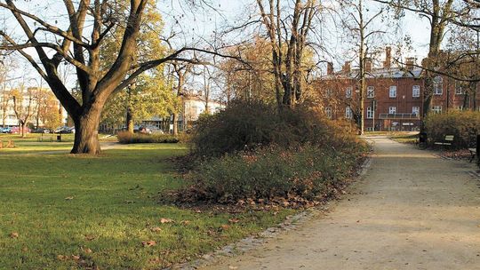 Nowy przewodnik o miejskiej zieleni w Puławach