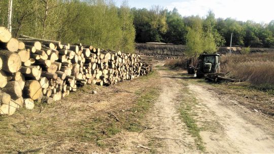 Nowy przystanek kolejowy w Lublinie. Co z drogą do niego? "Nie będzie bezpieczna"