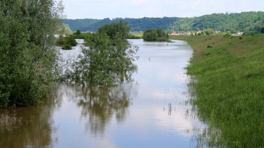 Nowy raport o stanie Wisły. Strażacy bronili zagrożonego wału, zauważyli kota uwięzionego na wyspie