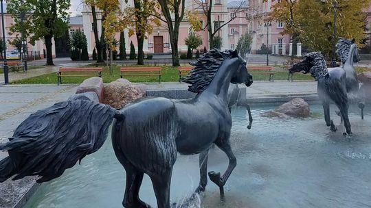 Nowy rok, nowe granice. Janów Podlaski znów miastem, Chełm traci kolejne hektary