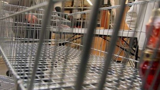 Nowy sklep Lidl w Zamościu. Od czwartku