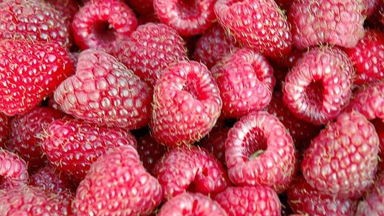 Nowy zakład w strefie ekonomicznej. "Taka inwestycja to marzenie Kraśnika"