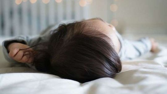 Nowy żłobek w Chełmie. Ruszyły zapisy do Chełmskich Niedźwiadków