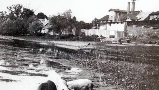 O dawnej produkcji alkoholu. Szkoła próżniactwa i zepsucia moralnego