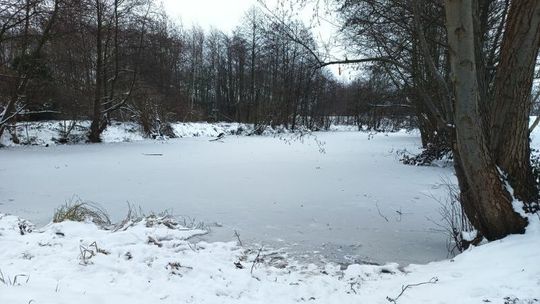 O krok od tragedii. Kotek wszedł na lód, a dzieci za nim. Interweniowała policja
