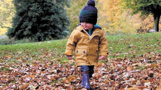 O leśnych przedszkolach w Rezerwacie Dzikich Dzieci