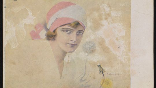 O staniku i mądrości doktorowej