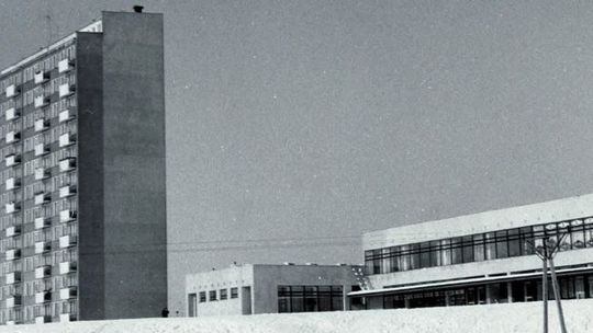 Obiady w Jagience i rozejm w mirabelkach