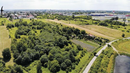 Obok sklepu IKEA ma powstać nowe osiedle. 16 bloków w programie Mieszkanie Plus?