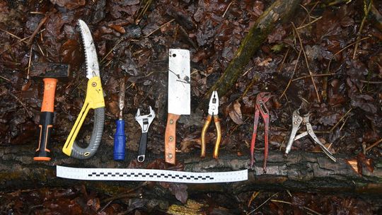 Obrabiał altanki jedną po drugiej. W końcu wpadł. To recydywista