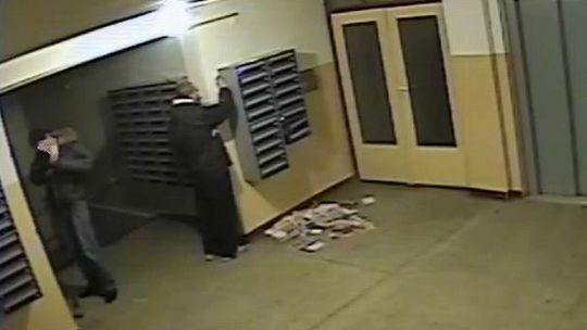 Obrobili skrzynki pocztowe. Wandale czy oszuści?