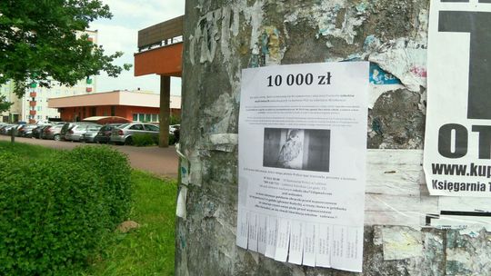 Obrońcy sokołów oferują 10 tysięcy zł nagrody. Za informację
