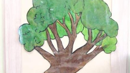 Obsza. Czytelnicy i ich drzewo