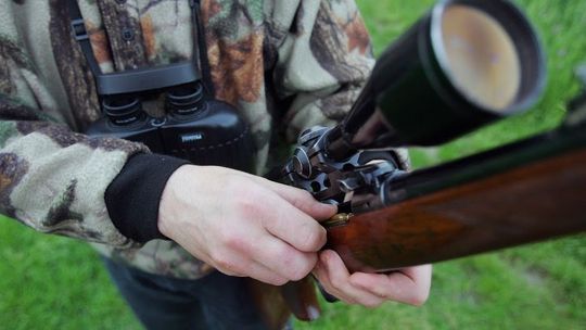 Obwody łowieckie po nowemu. Myśliwi czekają na ważną decyzję sejmiku