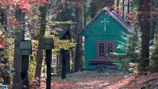 Obywatelskie propozycje dla Janowa Lubelskiego