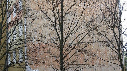 Ocieplenie spadło z bloku. Firma już nie wygra przetargu