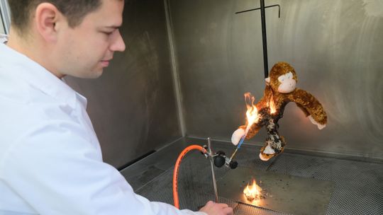 Oczko się odlepiło temu misiu. Zobacz, co robią z zabawkami zanim trafią jako prezent do dzieci