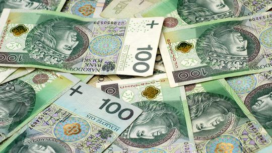 Od chirurga po sprzątaczkę. Puławska lista płac