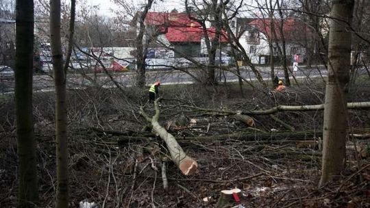 Od dziś problemy dla kierowców na ul. Północnej