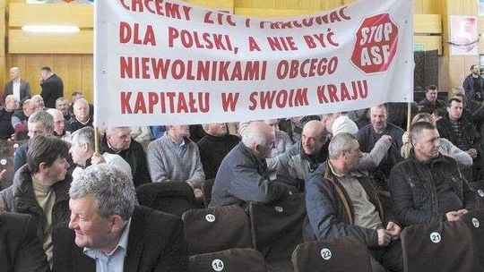 "Od lipca nie mamy dochodów". Stracili świnie zakażone wirusem ASF, chcą wypłaty odszkodowań