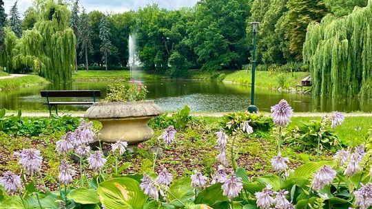 Park Miejski Zamość