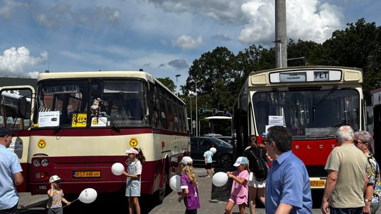 Od zabytkowego Autosana po TechnoBus. Tak Kraśnik świętował 50 lat komunikacji miejskiej!