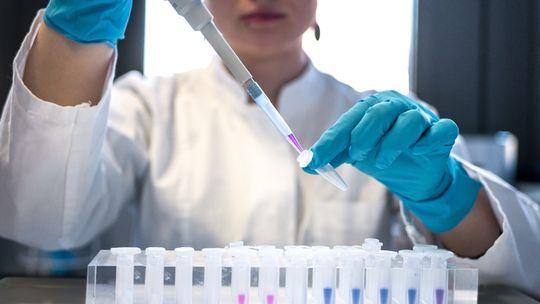 Wybór hurtowni odczynników chemicznych