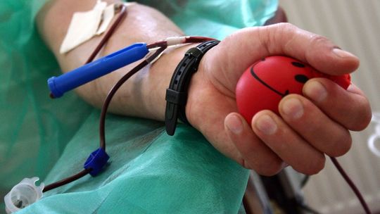 Oddaj krew, dostaniesz jogurt