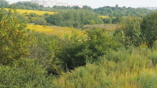 "Oddycha się coraz trudniej, zaangażujmy się, bo ważą się losy Lublina". Apel czytelniczki